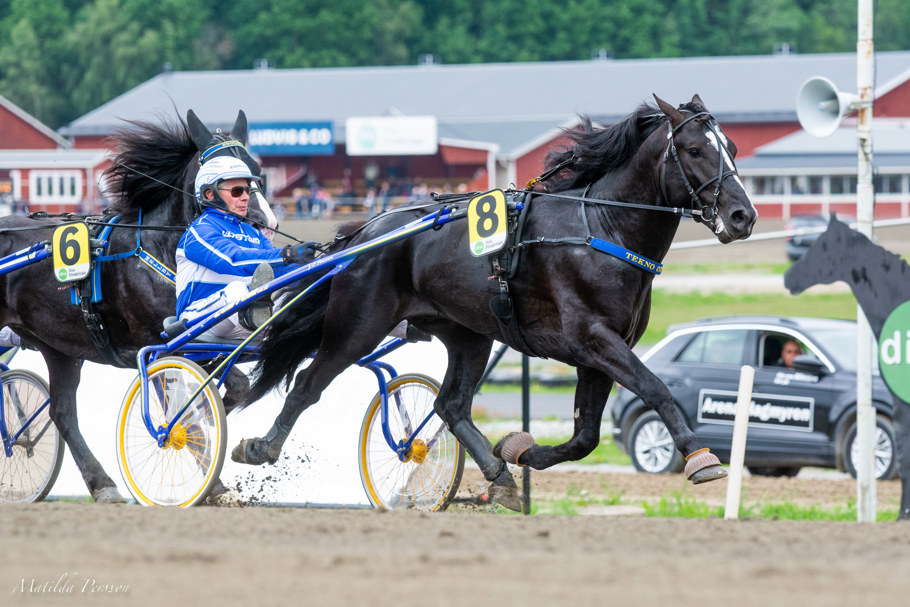 Juni Blixt-8289.jpg