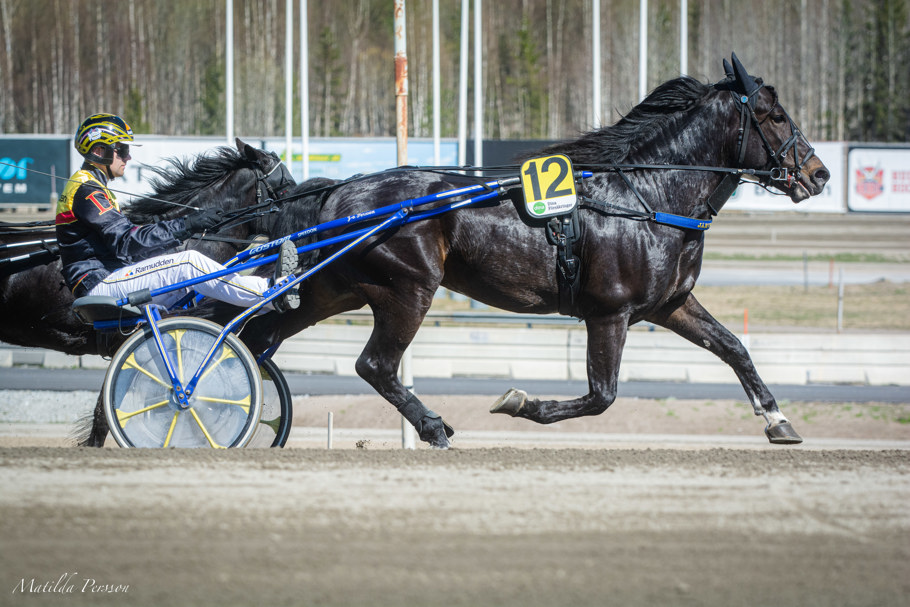 Järvsö Jop-8349.jpg