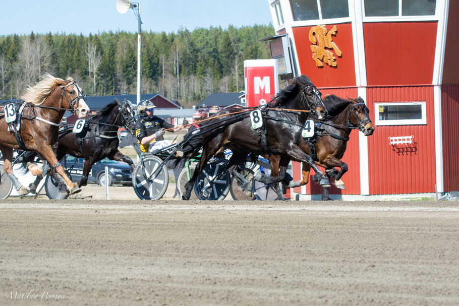 SUPERSNORPAN-Fransson Fredrik-8572.jpg